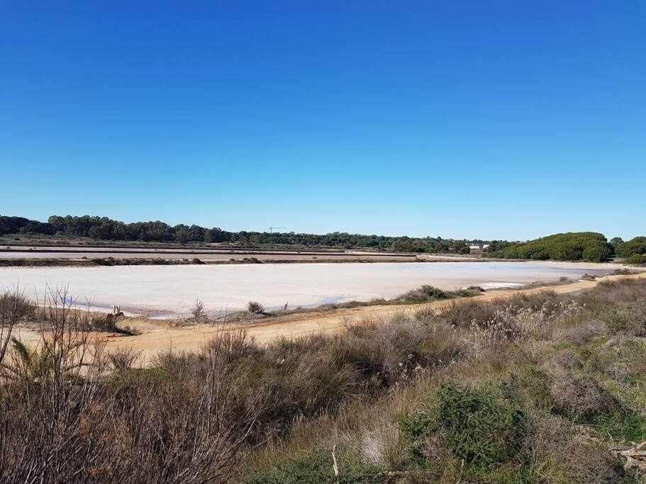 Ria Formosa Pineview Villa FAO Exteriör bild