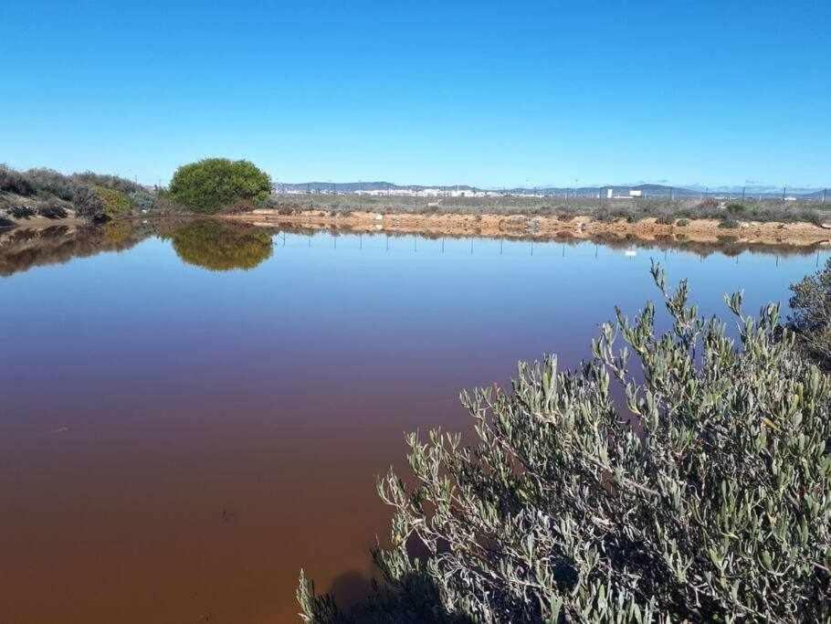 Ria Formosa Pineview Villa FAO Exteriör bild